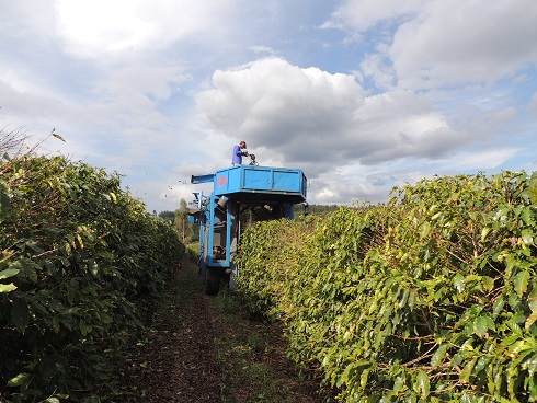 alto%e5%8f%8e%e7%a9%ab%e6%a9%9f3