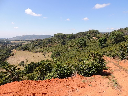 carmo-%e3%82%b5%e3%83%b3%e3%82%bf%e3%82%a4%e3%83%8d%e3%82%b9%ef%bc%93