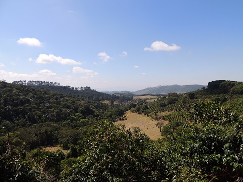 carmo-%e3%82%b5%e3%83%b3%e3%82%bf%e3%82%a4%e3%83%8d%e3%82%b9