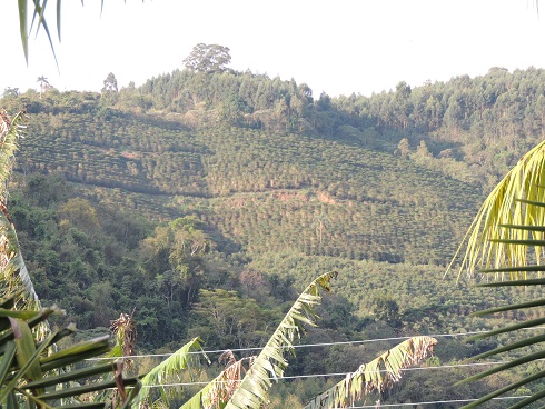 santa-matsumto%e5%8c%ba%e7%94%bb