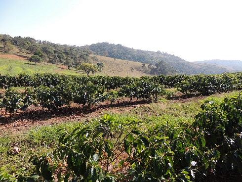 carmo-%e3%82%bb%e3%83%ab%e3%83%88%e3%83%b3%ef%bc%92