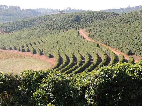 carmo-%e3%82%bb%e3%83%ab%e3%83%88%e3%83%b3%e4%b8%80%e6%9c%9b