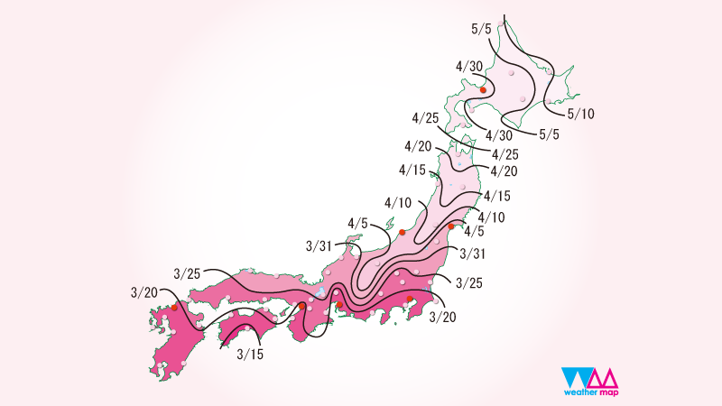 sakura_front_800x450